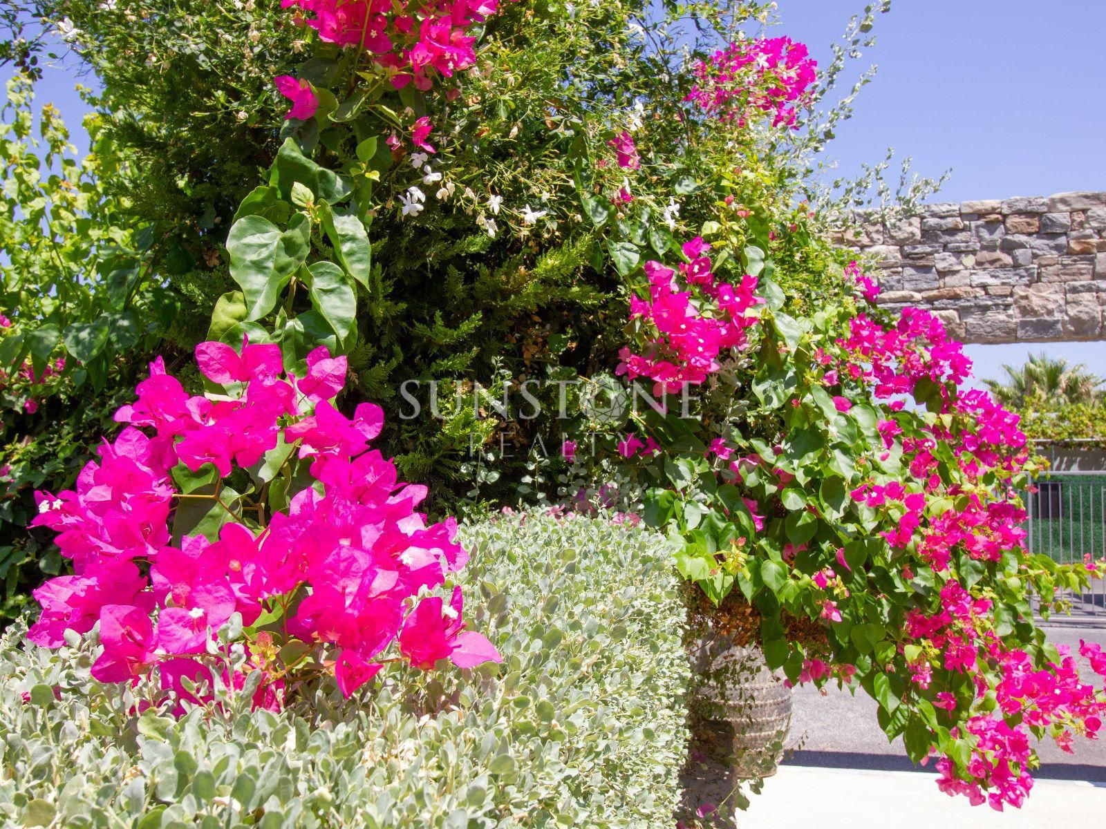 Natura Site - 2 + 1 Luxury Apartment 17