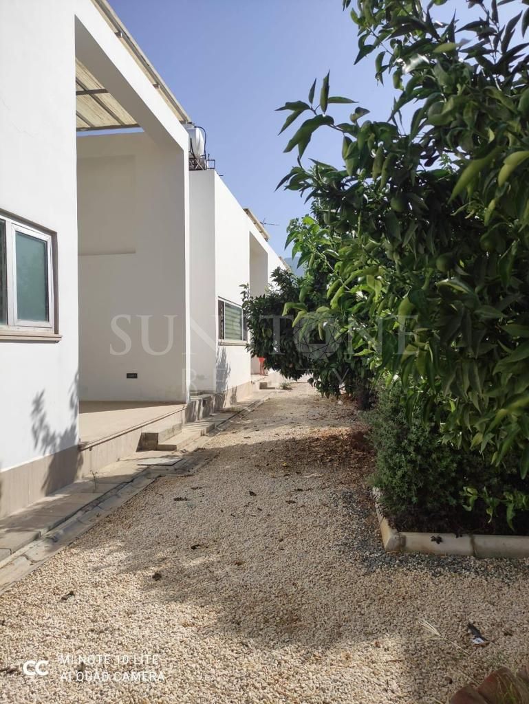 Kıbrıs Girne Zeytinlik Bölgesinde Türk Koçanlı Arazi Üzerinede 8 Adet Satılık Bungalov Konut. 12