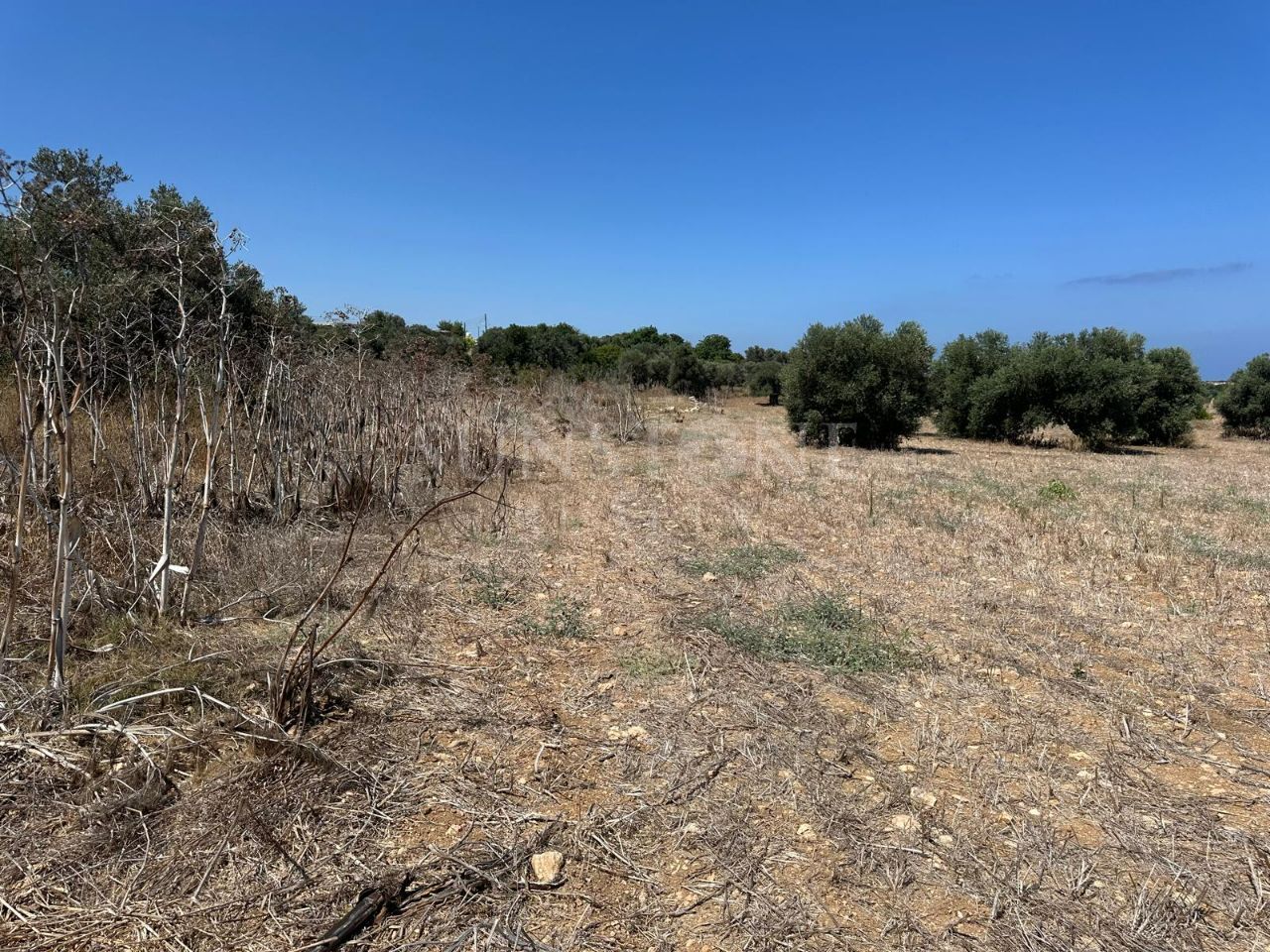 Land for Sale in İskele Yenierenköy, Cyprus 3