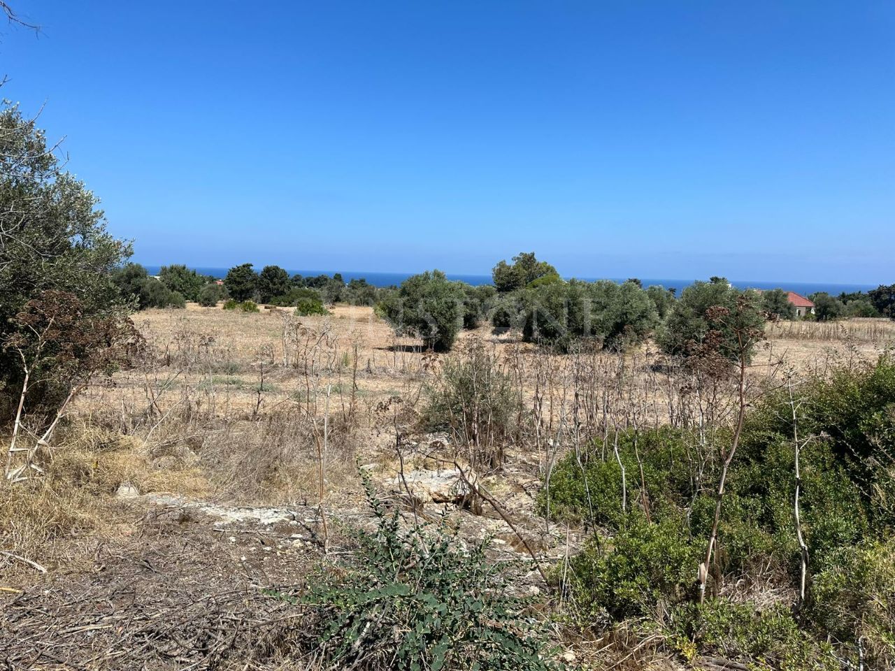 Land for Sale in İskele Yenierenköy, Cyprus 2