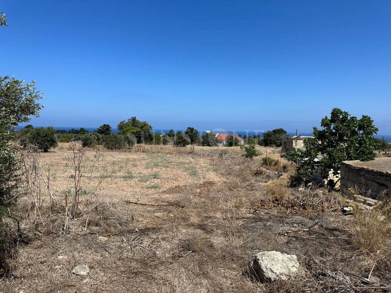 Land for Sale in İskele Yenierenköy, Cyprus 4