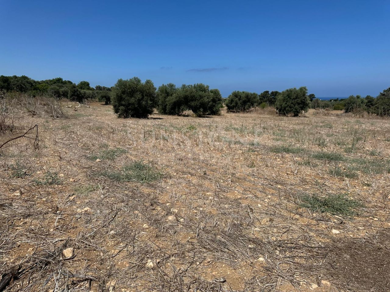Land for Sale in İskele Yenierenköy, Cyprus 5