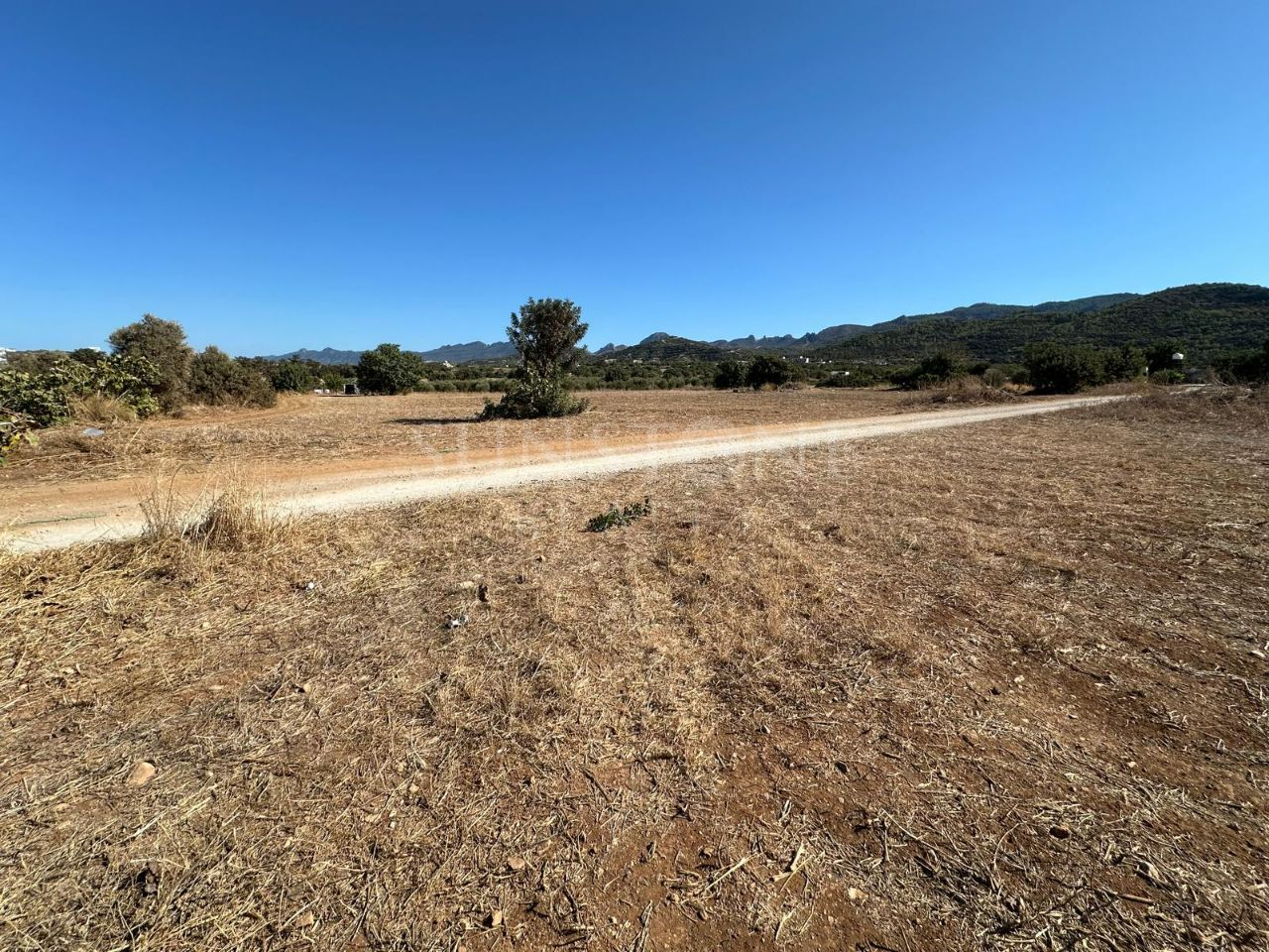 Land for Sale in Gazimağusa Tatlısu, Cyprus 5