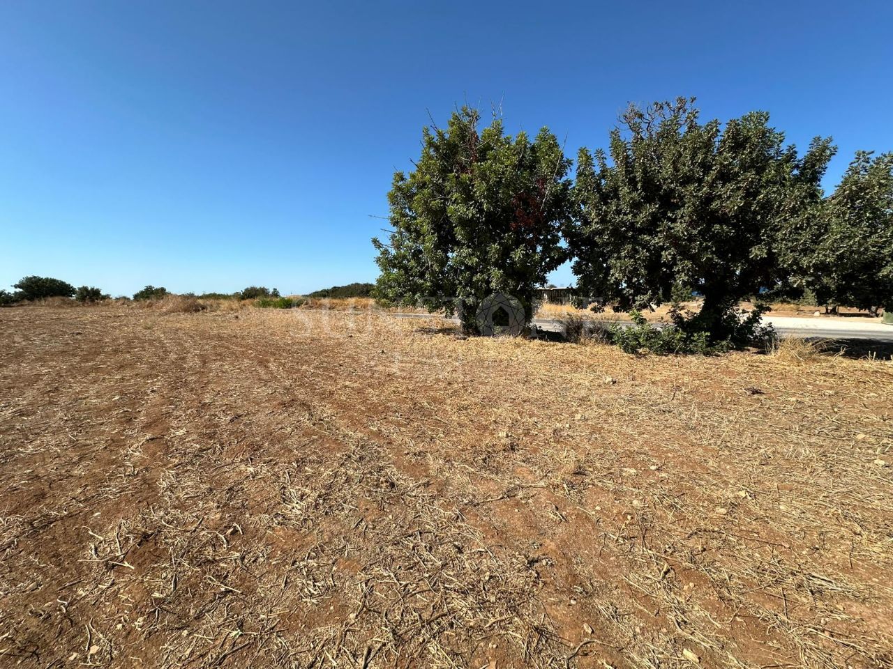 Land for Sale in Gazimağusa Tatlısu, Cyprus 6